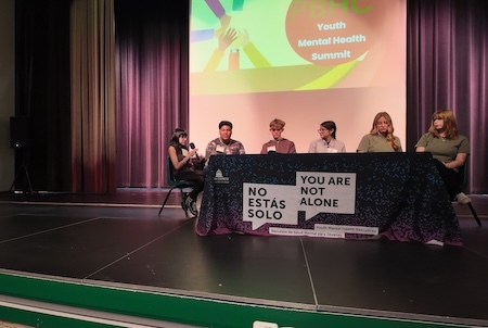 mental health panel discussion