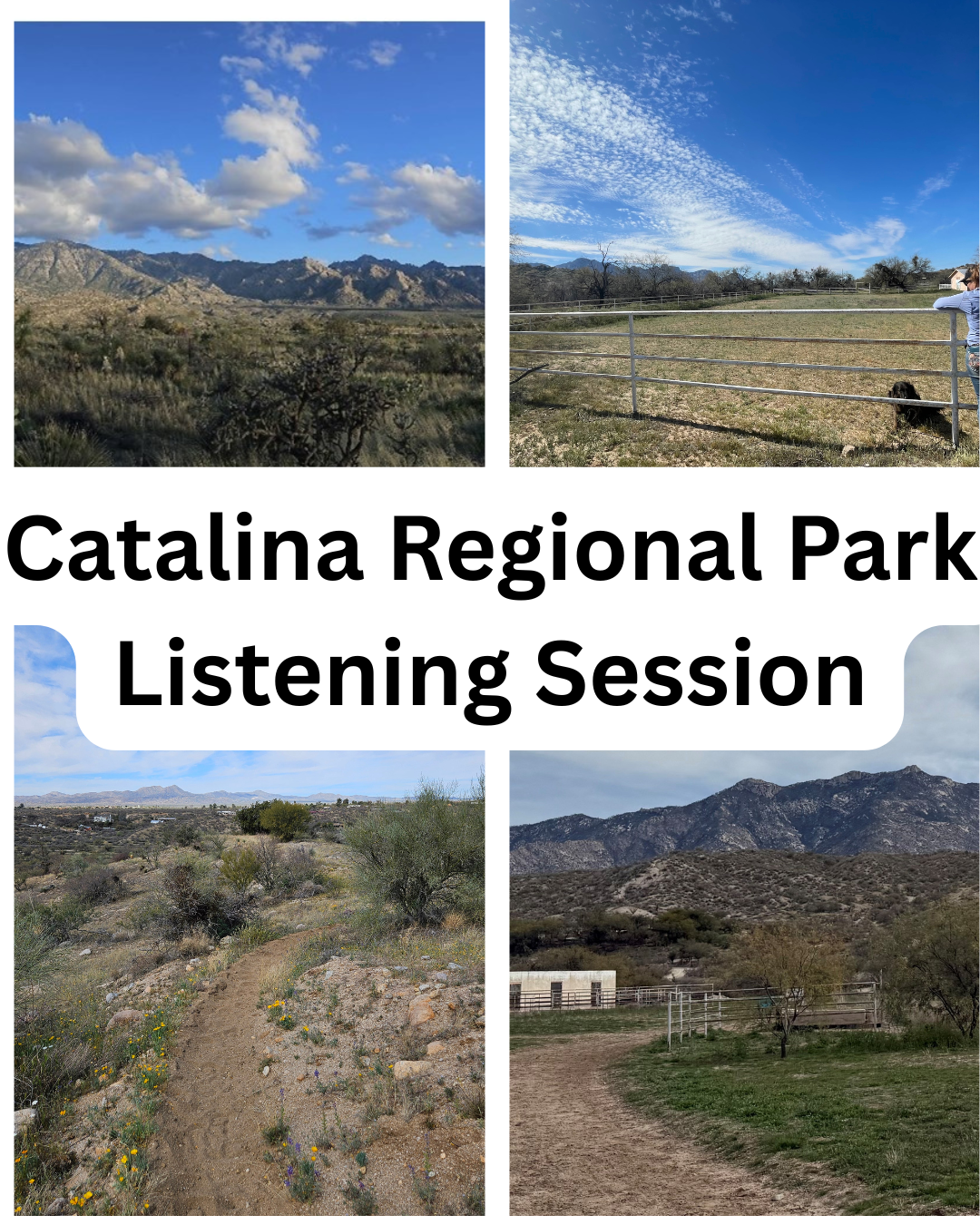 catalina