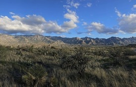 Mountains at Catalina Regional Park