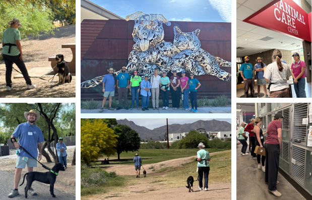 PACC Walk a dog