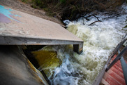 Water is flowing out of a drainage pipe into a river