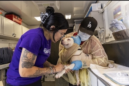 Mobile pet clinic