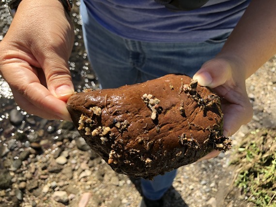 rock from river