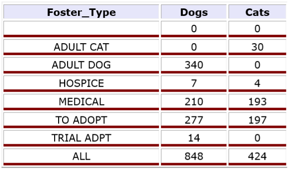 foster census