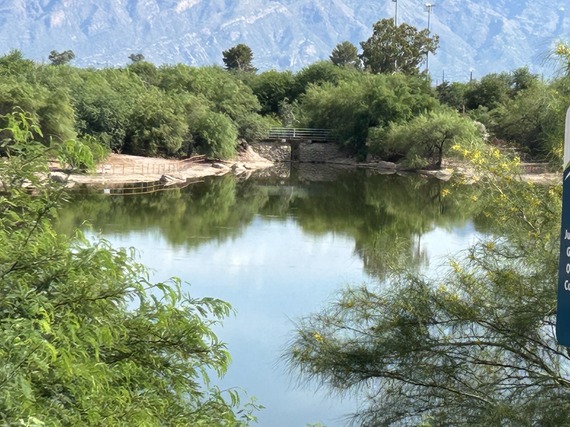 Pond with mountains in background