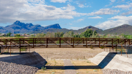 wildlife ramp