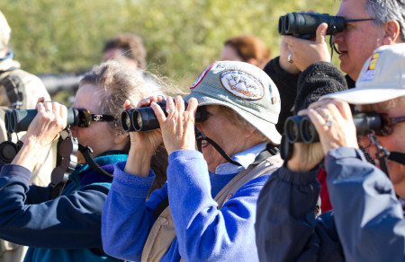 Birdwatchers with binoculars