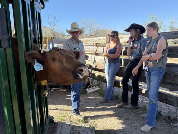 Ranch manager teaches youth about cow health