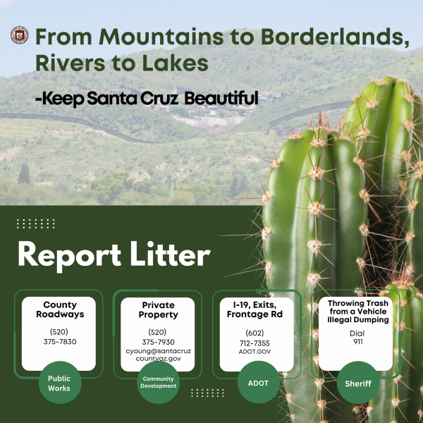 Litter Flyer with reporting information