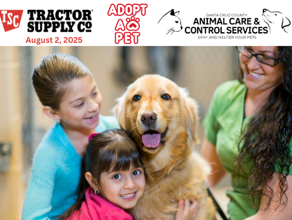 pet adoption flyer, with logos a dog and family