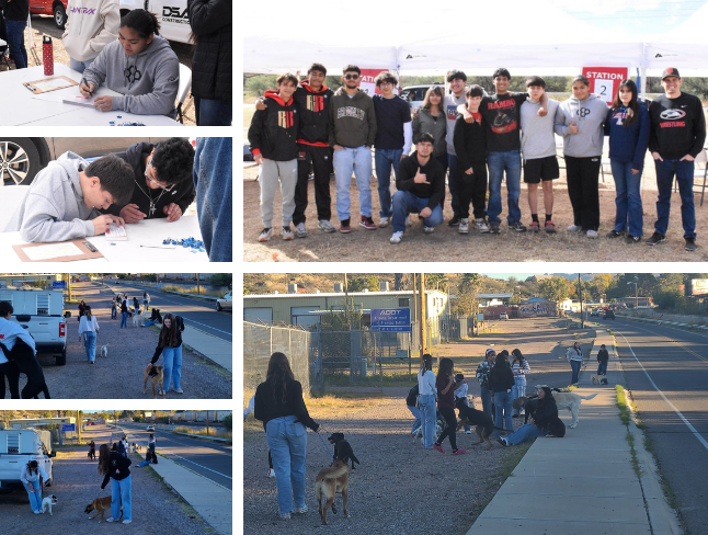 collage of rio rico high school students walking dogs and voluteering at the clinic
