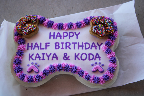 Dogs birthday cake