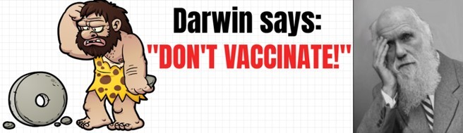 Don't Vaccinate Bumper Sticker