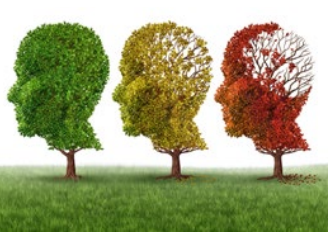 Picture of 3 trees, each losing it's leaves. Depicting memory loss.