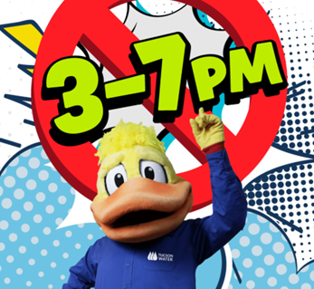 Picture of Pete the Beak asking to use less power between 3-7 p.m