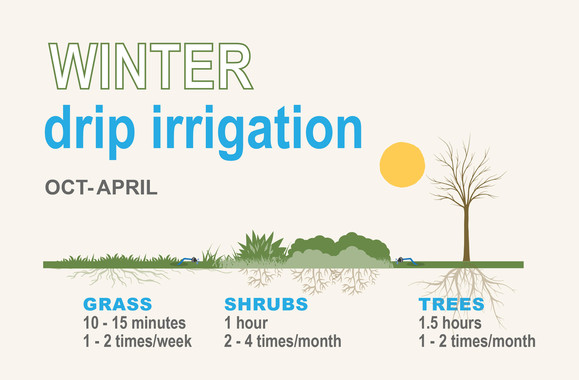 Winter Watering graphic