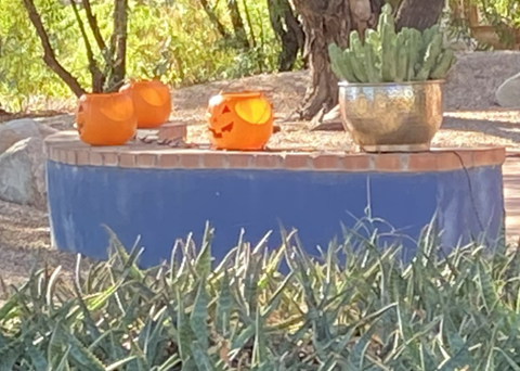 Picture shows pumpkin buckets on the bench