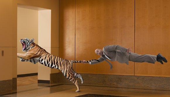 Picture of a man grab a tiger's tail