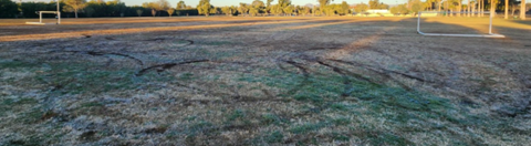 Picture of Himmel Park showing tires marks of donuts done on the grassy soccer field