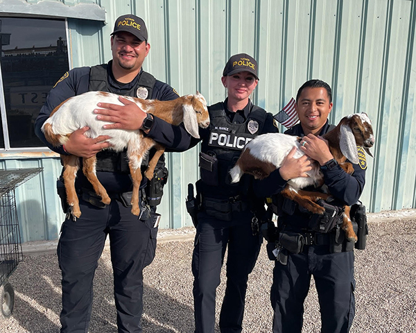 Three smiling TPD officers, two holding guilty-looking smallish goats, stand in front of a metal building