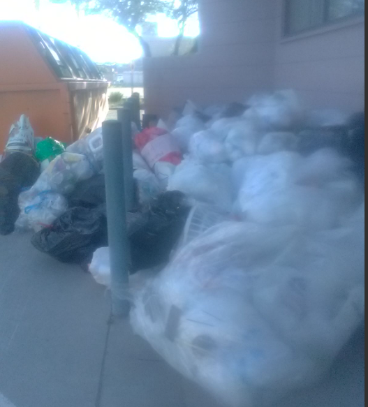 Pile of plastic bags behind the ward 6 council office