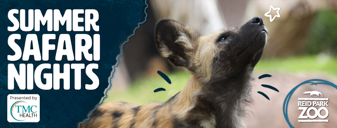 Summer Safari nights flyer
