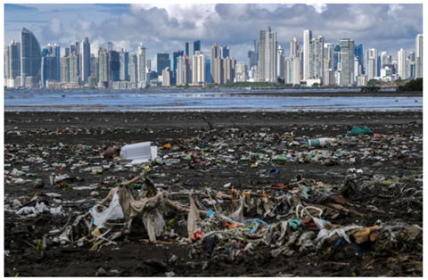 Picture shows trash polluted the beach in Panama in 2019