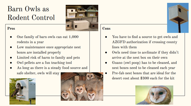Picture shows information on pros and cons barn owls as rodent control