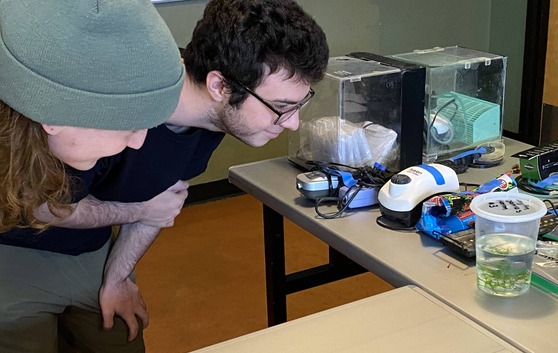 Photo of two young men looking at an Aquarist Society demonstration