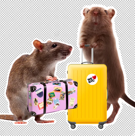 Picture of 2 rats holds yellow and pink luggage 