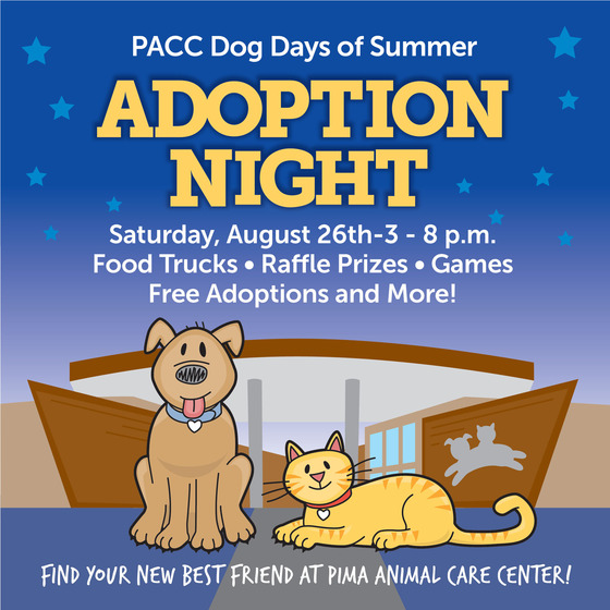 Flyer for Adoption Night