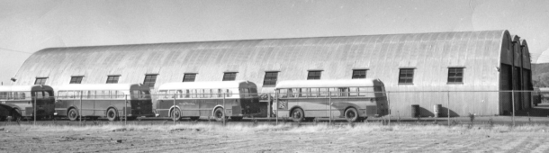 Picture shows some buses lined up on the Plumer site in 1976