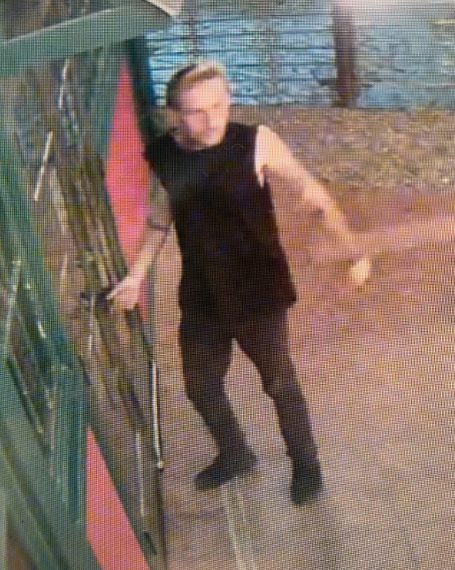 Picture of theif in front of Oregano's 