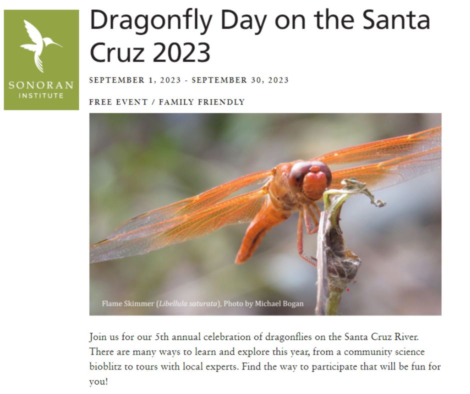 Dragonfly day graphic