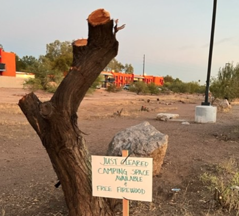Picture of trunk from one of the 75 trees with sign says "Just Cleared Camping Space Available and Free Firewood" next to it 