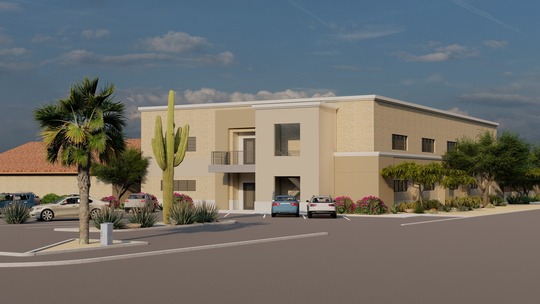 Graphic for proposed Salpointe RIse Above  rendering