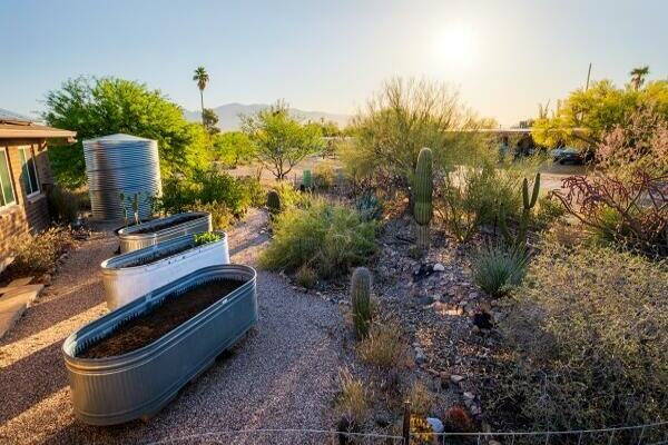 Photo for 12th Annual Desert Living Home Tour for Watershed Management Group