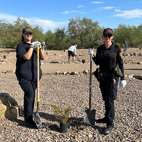 Two uniformed officers with shovels pause from planting a small creosote bush.