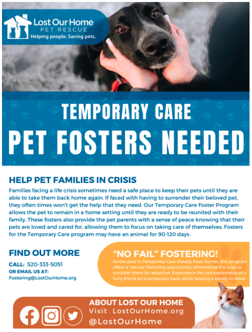 Lost Our Home Pet Rescue Flyer