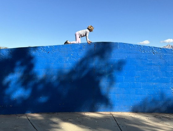 Photo of Fleeta climbing on the wall by the greenway path.