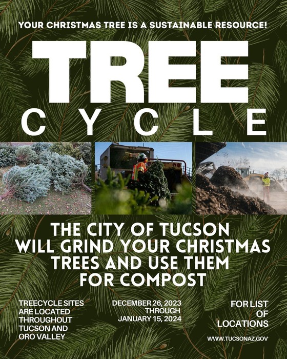 Graphic for Treecycle