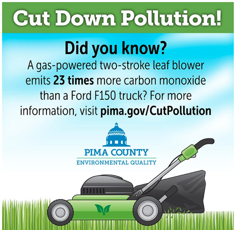 Cut Down Pollution Program Flyer