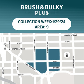 Brush & Bulky