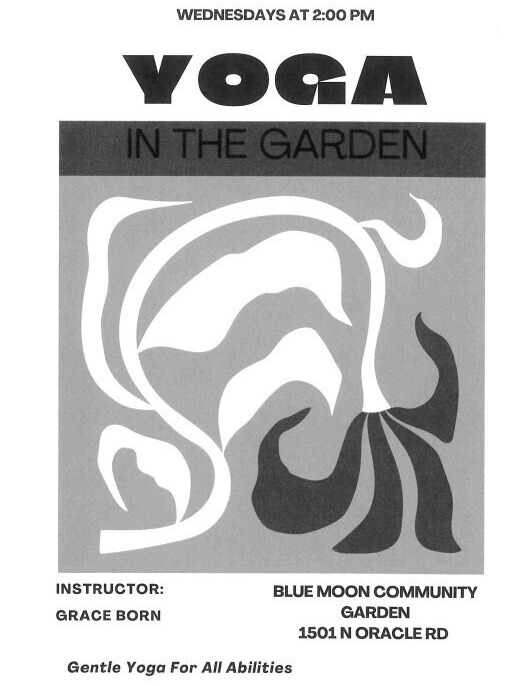 Flyer for Yoga at the park