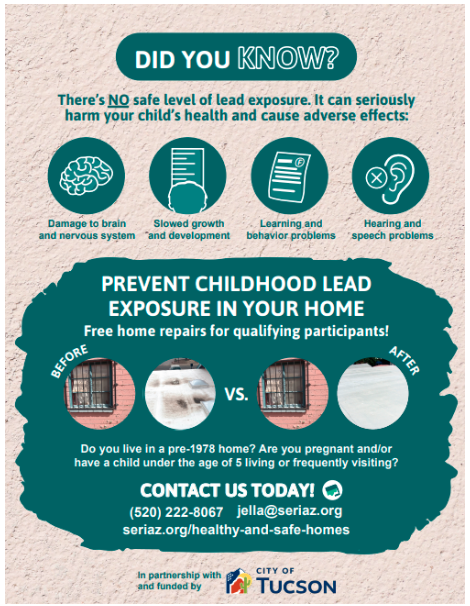 Lead-based Paint Program Flyer