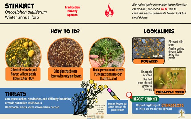 Stinknet Informative Flyer