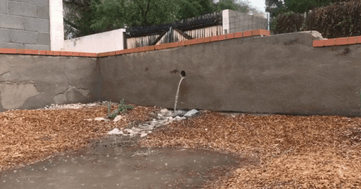GIF of winter rain water draining from the alley into the Ward 3 rain garden.
