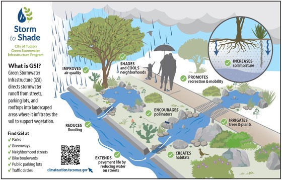 Graphic of a water collection basin from Storm to Shade.