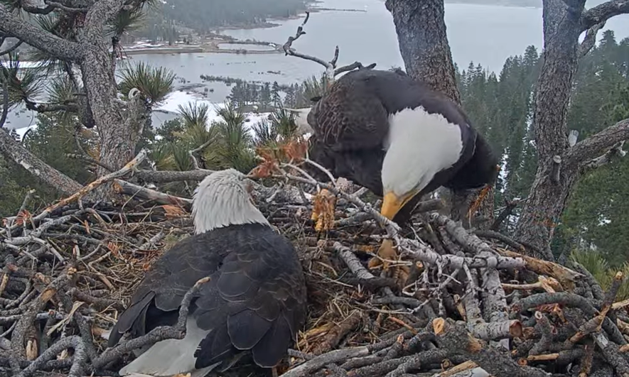 Picture of the shift change between mom and dad