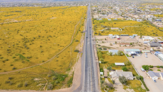 photo from April 2023 above Cave Creek, Arizona shows the proliferation of stinknet.